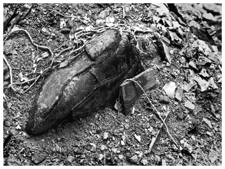 9. 301-es parcella exhumálás előtt (Új Köztemető, Budapest, X. kerület, Kozma utca 8-10., 1996)<br><i>(BFL XV.19.g.1.0225)</i>